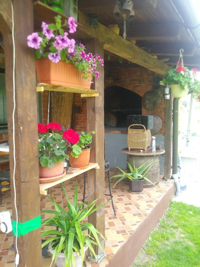 Ribarska Vila Donje Lohovo Exterior photo
